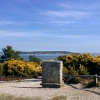 Arne Nature Reserve in Dorset