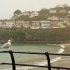 Looe Harbour
