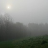 Foggy morning in Boley Park