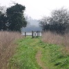 Cossington Meadows