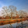 River Soar