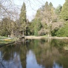 A picture of Thorp Perrow
