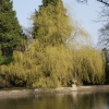 A picture of Thorp Perrow