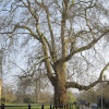 Magdalen College, Oxford 028