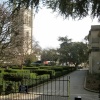 Oxford Botanical Gardens 050