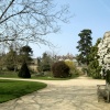 Oxford Botanical Gardens 53