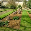 Oxford Botanical Gardens 60