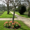 Oxford Botanical Gardens 62