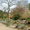 Oxford Botanical Gardens 70