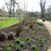Oxford Botanical Gardens 72