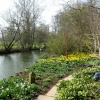 Oxford Botanical Gardens 76