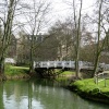 Oxford Botanical Gardens 78