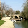 Oxford Botanical Gardens 79