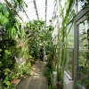 Oxford Botanical Gardens 81