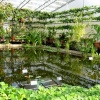 Oxford Botanical Gardens 83