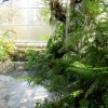 Oxford Botanical Gardens 88