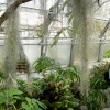 Oxford Botanical Gardens 89
