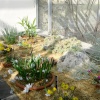 Oxford Botanical Gardens 90