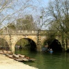 Oxford Botanical Gardens 92