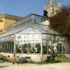 Oxford Botanical Gardens 93