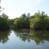 Ashenbury Park