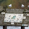 Dinton Pastures