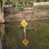 A picture of Thorp Perrow