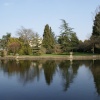 A picture of Thorp Perrow