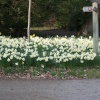 A picture of Thorp Perrow