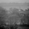 Farm