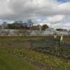Greenhouse and Vegetable Garden