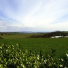 Looking out from Heligan towards Mevagissey.