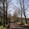 Whisperings of Spring