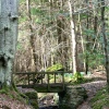 Wallington Hall.