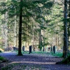 Wallington Hall.
