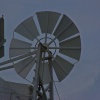 Thaxted Windmill
