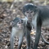London Zoo