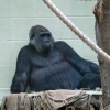 London Zoo