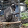 London Zoo