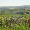 Exmoor Scenery