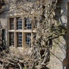 Pub window in Malmesbury