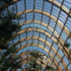 Winter Garden roof