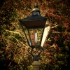 Shine a light