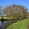 Canal Near Milford 3
