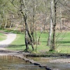 Stepping stones over Sher Brook