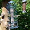 Finches in one of the gardens.