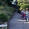 The steep path going up.