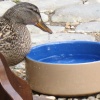 Bottoms up!