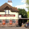 The Pelican