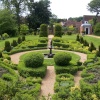 Buxus Garden